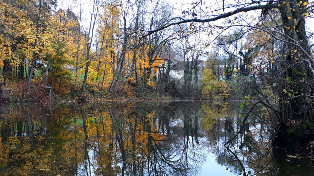 Herbst See Bäume